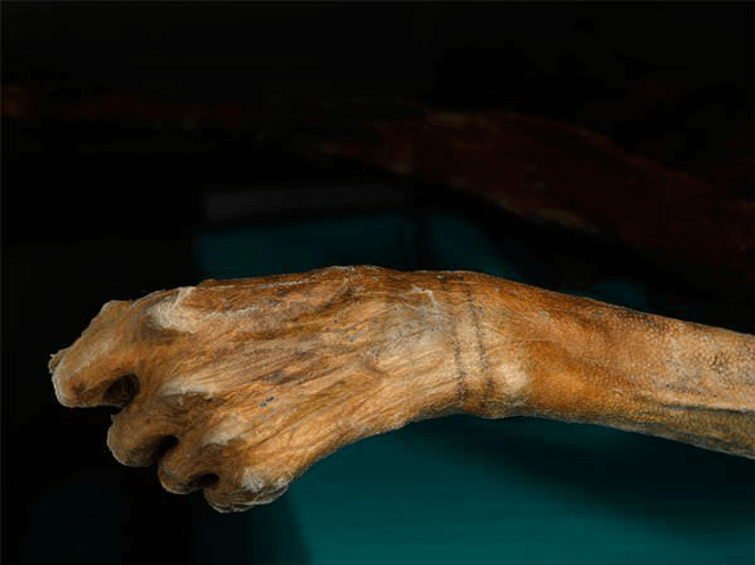 Otzi the Iceman with the stick and poke tattoo on his wrist